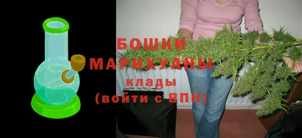 дмт Богданович