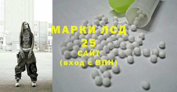 дмт Богданович