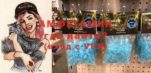 дмт Богданович