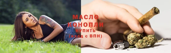 дмт Богданович