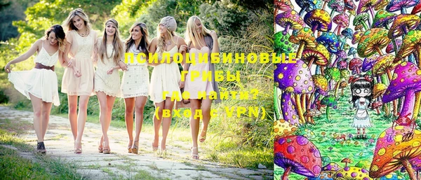 дмт Богданович