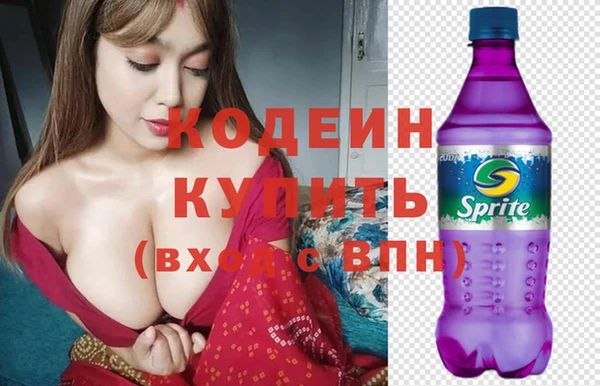 дмт Богданович