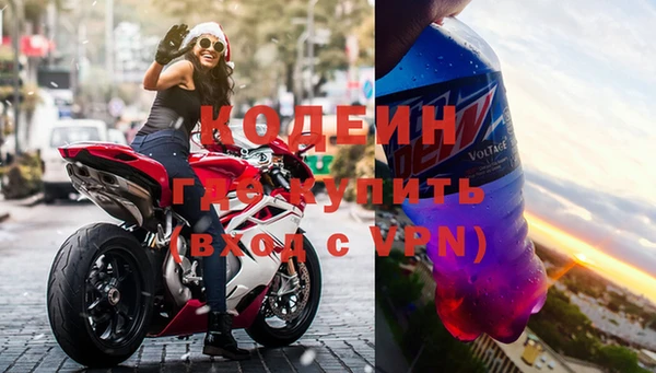 дмт Богданович
