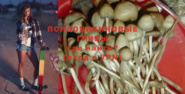 дмт Богданович