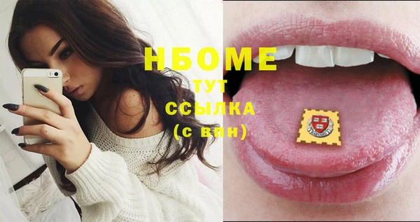 дмт Богданович