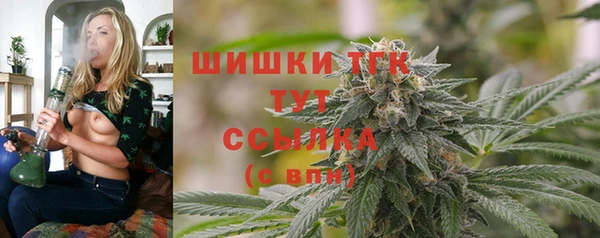 дмт Богданович
