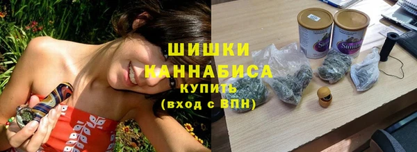 прущие грибы Сафоново
