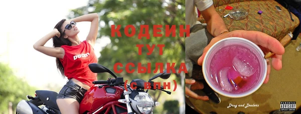 дмт Богданович